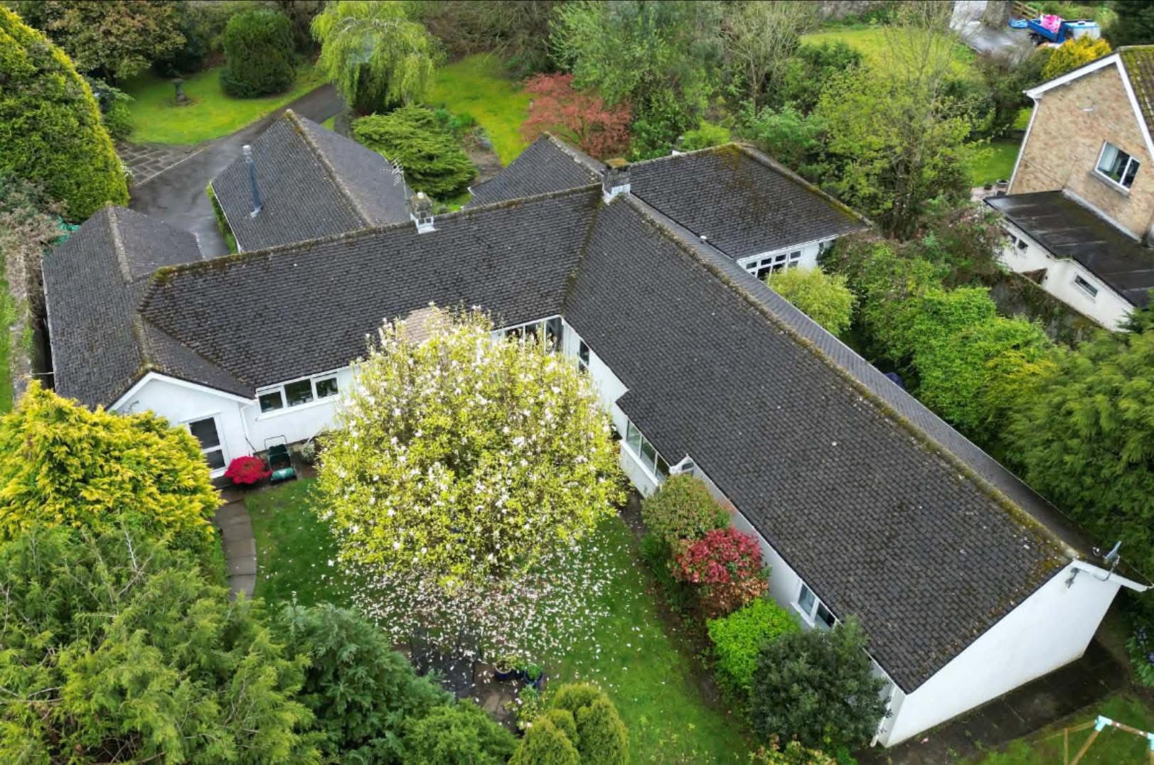 Heavily moss-covered detached house roof before cleaning